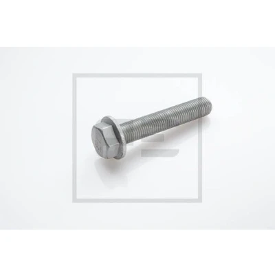 Billede af PETERS ENNEPETAL 016.642 00A Skrue, bremseskive bagaksel