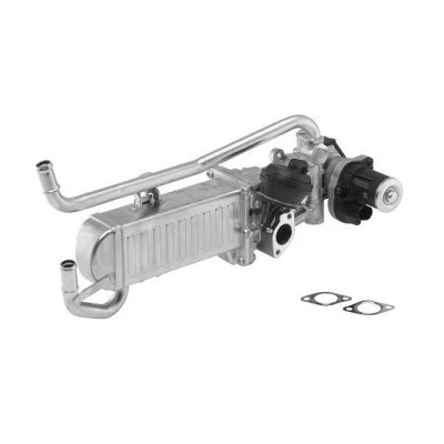 Billede af EGR modul WAHLER 710862D