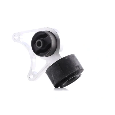 Billede af TEDGUM 01164618 Ophæng, differential bagaksel, venstre LAND ROVER: Freelander I SUV