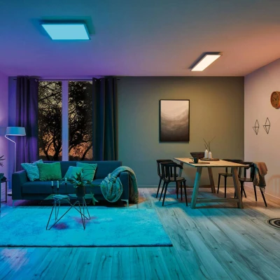Billede af Paulmann Amaris LED panel, ZigBee, 60x30cm, RGBW