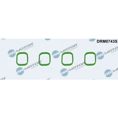 Billede af DR.MOTOR AUTOMOTIVE DRM0743S Indsugningspakning VOLKSWAGEN: Passat B6 Variant, Golf 5, B7 SKODA: Octavia II Hatchback, 2 Combi