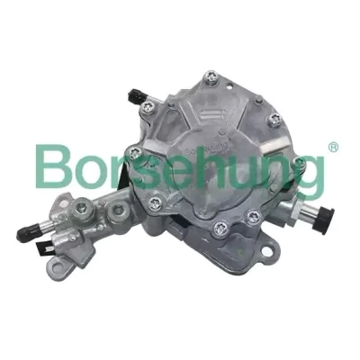 Billede af Borsehung B14919 Vakuumpumpe VOLKSWAGEN: Touran I, Passat B6 Variant, Golf 5, SKODA: Superb II Hatchback, Fabia 2, Stationcar, AUDI: A2