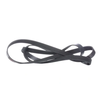 Billede af FEBI BILSTEIN 29022 Kileribberem 2403 6 EPDM (ethyl propylen dien gummi) MERCEDES BENZ: C klasse T modell, E Sedan