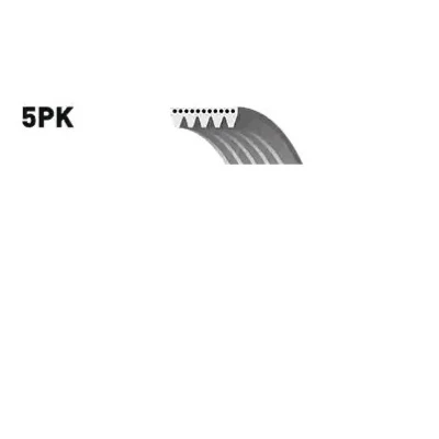 Billede af GATES Micro V 5PK1148 Kileribberem 1148 5 Polyester, EPDM (ethyl propylen dien gummi) FIAT: BRAVO 2, Grande Punto Hatchback, 500 Hatchback