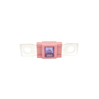 Billede af BOSCH 1 987 531 006 Sikring 250 32