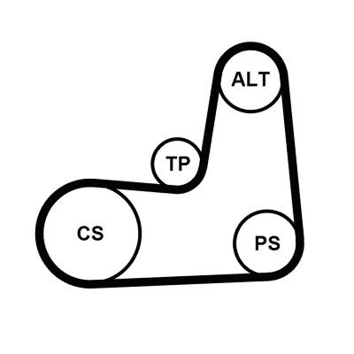 Billede af CONTITECH 5PK1135K2 Kileribberem RENAULT: CLIO 2, 3, SCENIC NISSAN: MICRA 3