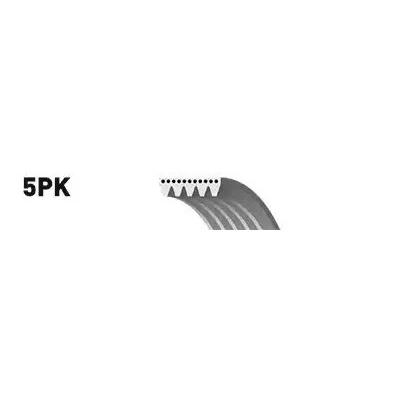 Billede af SNR CA5PK1135 Kileribberem 1135 5 AUDI: A6 C6 Avant, Q7, A8 D3, RENAULT: CLIO 3, 2, MEGANE 2 Coupe Cabriolet, TOYOTA: Carina E Sedan