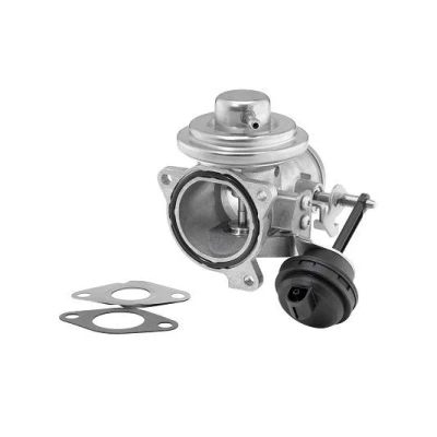 Billede af WAHLER 7293D/1 EGR Ventil pneumatisk med pakninger VOLKSWAGEN: Polo IV Hatchback, Golf 4, III SKODA: Fabia 1 Combi
