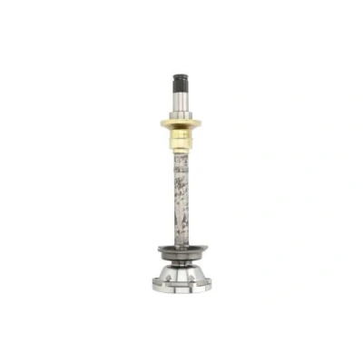 Billede af PASCAL G8W005PC Knokkelled foraksel, gearkasse monteret VOLKSWAGEN: Transporter 4 Bus,