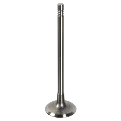 Billede af FEBI BILSTEIN 181647 Indsugningsventil 28,3 PEUGEOT: 207 Hatchback, 307 CITROËN: C2 Hatchback