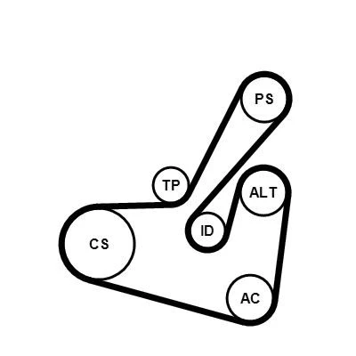 Billede af CONTITECH 6PK1750K1 Kileribberem RENAULT: CLIO 2, CITROËN: Berlingo / First I