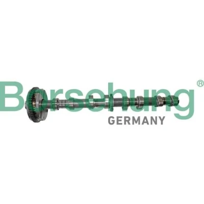 Billede af Borsehung B12413 Knastaksel Indsugningsside SKODA: Octavia 2 Combi, Superb II Stationcar