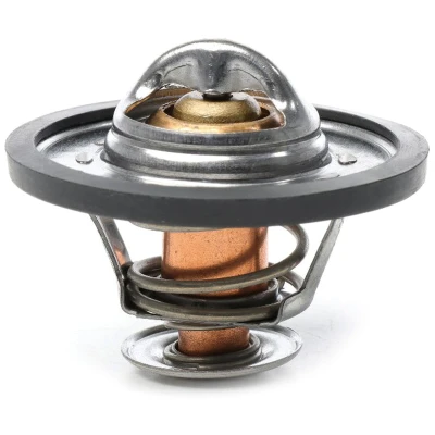 Billede af METZGER 4006229 Termostat 79 med pakning FIAT: Ducato II Ladvogn/Chassis, Bus