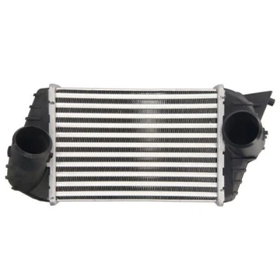 Billede af THERMOTEC DAF009TT Intercooler