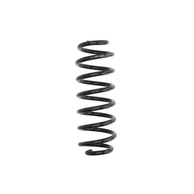 Billede af Magnum Technology SW163 Fjeder bagaksel VOLKSWAGEN: Passat B6 Variant