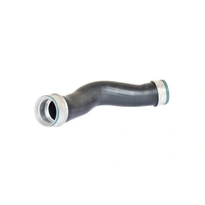 Billede af BUGIAD 87604 Trykslange 60 VOLKSWAGEN: Touran I, Golf 5, Plus / Crossgolf