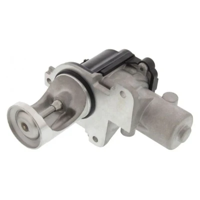Billede af MAPCO 83829 EGR Ventil elektrisk med pakning VOLKSWAGEN: Multivan 5 (7HM, Passat B5 GP Variant, Transporter 5, AUDI: A4 B7 Avant, Sedan