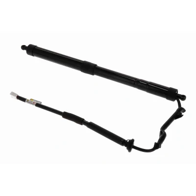 Billede af Elmotor, bagklap ACKOJA A70 55 0009