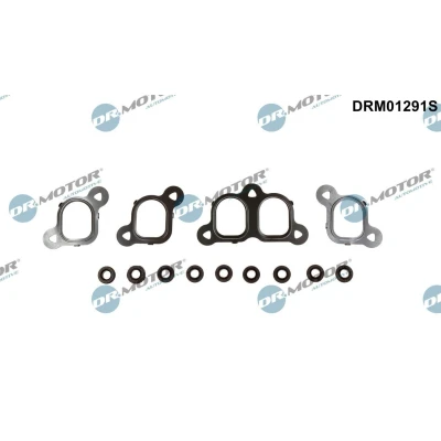 Billede af DR.MOTOR AUTOMOTIVE DRM01291S Pakningssæt, indsugningsmanifold VOLKSWAGEN: Transporter 5 Bus, Multivan (7HM