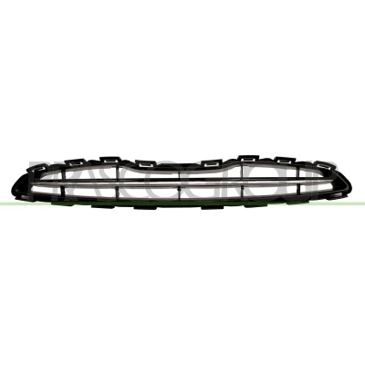 Billede af PRASCO Premium DS0142011 Kølergitter krom
