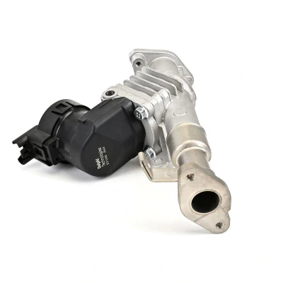 Billede af EGR ventil DELPHI EG10488 12B1