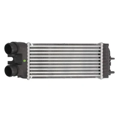 Billede af THERMOTEC DAC002TT Intercooler 300 147 85