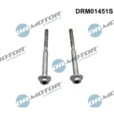 Billede af DR.MOTOR AUTOMOTIVE DRM01451S Skrue, indsprøjtningsdyseholder VOLKSWAGEN: Polo V Hatchback, Passat B8 Variant, Golf 7 Variant