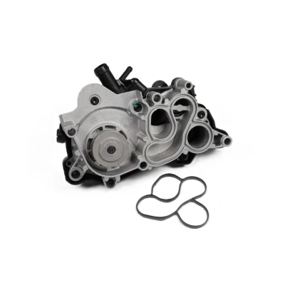 Billede af HEPU P687 vandpumpe med termostyringsmodul, boring til sensor, Termostat indbygget i mekanisk XT Professional Plastikhus