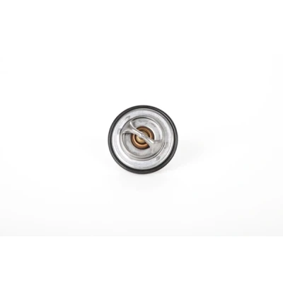 Billede af Continental 28.0200 4175.2 Termostat 92 67 med pakning BMW: 5 Sedan, 7, 3 Sedan