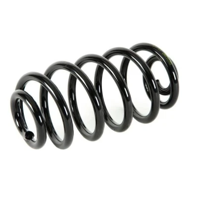 Billede af Magnum Technology SK058 Fjeder bagaksel ROVER: 75