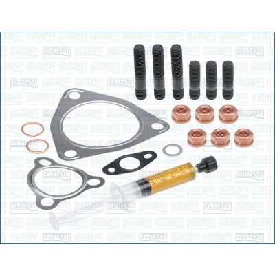 Billede af AJUSA JTC11018 Montagesæt, lader with studs, syringe oil med pakninger monteringsvejledning AUDI: A4 B5 Sedan, B7 Avant, Avant