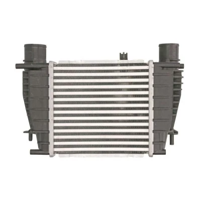 Billede af THERMOTEC DA1003TT Intercooler 210 x 205 64 mm NISSAN: Juke