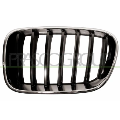 Billede af PRASCO BM8042004 Kølergitter venstre chrom/sort BMW: X3