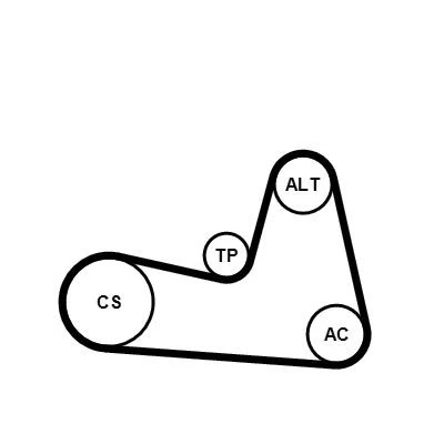 Billede af CONTITECH 6PK1200K2 Kileribberem RENAULT: CLIO 2, 3, MEGANE 2 Kombi, NISSAN: MICRA 3