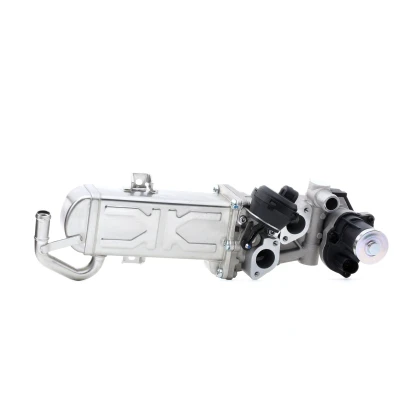 Billede af PIERBURG 7.09720.00.0 EGR Ventil elektrisk med pakning VOLKSWAGEN: Passat B7 Variant, B6 Polo V Hatchback, SKODA: Fabia 2