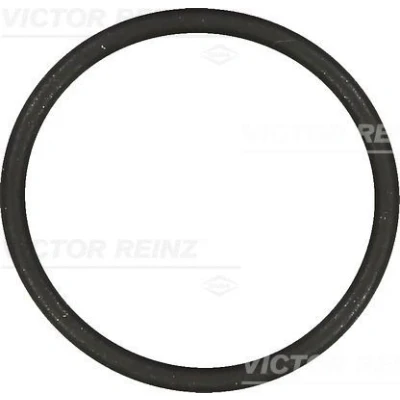 Billede af REINZ 40 76854 00 Indsugningspakning FPM (Flour gummi) VOLKSWAGEN: Golf 4, 5, Touran I, SKODA: Octavia I Hatchback, 1 Combi