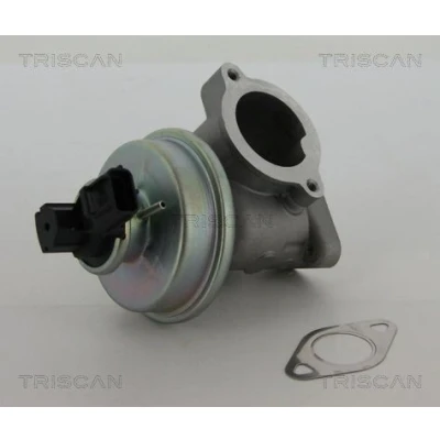 Billede af TRISCAN 8813 16012 EGR Ventil pneumatisk med pakninger FORD: MONDEO 3 Kombi,