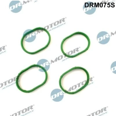 Billede af DR.MOTOR AUTOMOTIVE DRM075S Udstødningspakning VOLKSWAGEN: Golf 4, 4 Variant, Bora Sedan, AUDI: A3 Hatchback, SKODA: Octavia 1 Combi