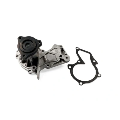 Billede af HEPU P269 Vandpumpe med pakning mekanisk 50 FORD: S Max Mk2, C 2
