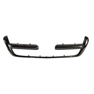 Billede af BLIC 6502 07 2956991P Pynte /beskyttelsesliste, kølergitter HONDA: CR V II (RD) 2.0, 2.4 Vtec 4WD 2001 2007