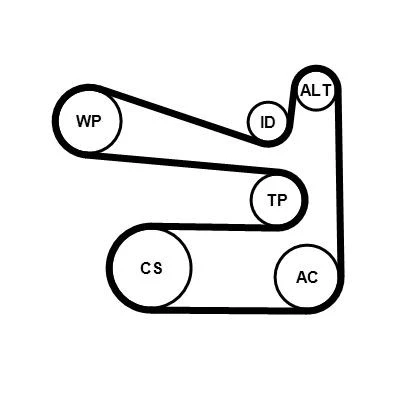 Billede af CONTITECH 6PK1693K1 Kileribberem SEAT: Ibiza 4, Leon II Hatchback, 4 ST, SKODA: Fabia 2, Octavia 2 Combi, Yeti, VOLKSWAGEN: Polo V Hatchback