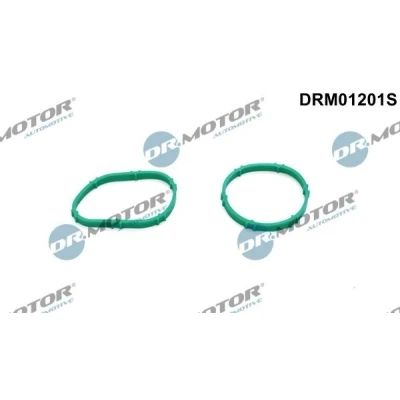 Billede af DR.MOTOR AUTOMOTIVE DRM01201S Pakningssæt, indsugningsmanifold