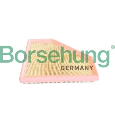 Billede af Luftfilter Borsehung B12292