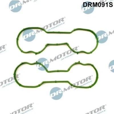Billede af DR.MOTOR AUTOMOTIVE DRM091S Pakningssæt, indsugningsmanifold FORD: Focus 2 Kombi