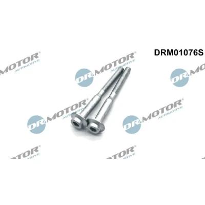 Billede af DR.MOTOR AUTOMOTIVE DRM01076S Skrue, indsprøjtningsdyseholder VOLKSWAGEN: Polo V Hatchback, Touran I, Passat B6 Variant, SKODA: Fabia 2