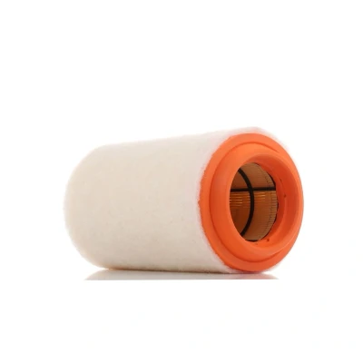 Billede af PURFLUX A1494 Luftfilter 233 125 Filterindsats MINI: Hatchback, Clubman, Countryman