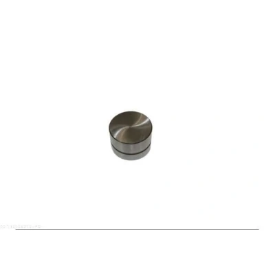 Billede af AUTOMEGA 130106210 Ventilløfter Hydraulisk Indsugningsside, Udstødningsside OPEL: Vectra A Sedan, Omega B Meriva
