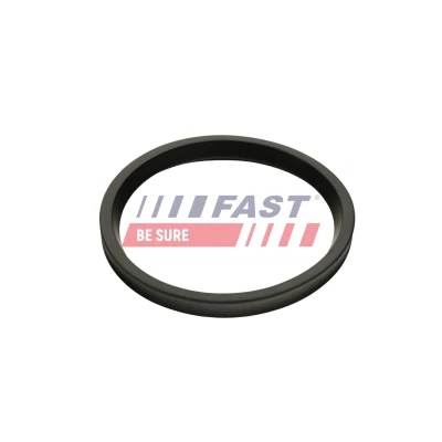 Billede af FAST FT48947 Pakningsring, turboladerslange