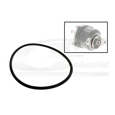 Billede af 3RG 81091 Pakninger