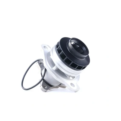 Billede af AIRTEX 1751 Vandpumpe RENAULT: MEGANE 3 Grandtour, ESPACE 4, GRAND SCENIC 3, NISSAN: Qashqai / Qashqai+2 I